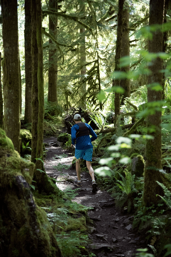 Biegacze w lesie - Boryrun